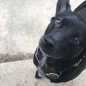 Meet your Posher, Mariah